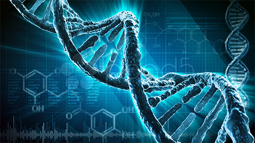 dna strand